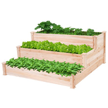 Load image into Gallery viewer, Solid Wood 4 Ft x 4 Ft Raised Garden Bed Planter 3-Tier