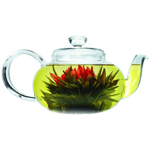 Load image into Gallery viewer, Stove-top Safe Brosilicate Glass Teapot 22 Oz with Infuser
